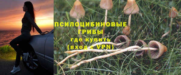 МДПВ Вяземский