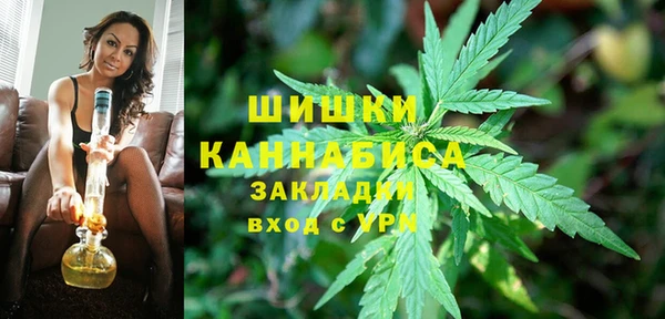 хмурый Вязьма